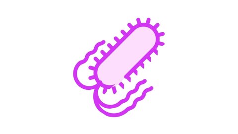 salmonella bacteria color icon animation