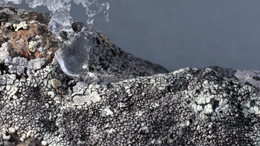 ice melting over the rock, cold, freezing, drop, Gran Paradiso National Park,