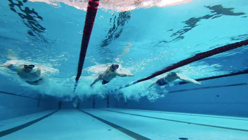 Swimming competition in an underwater view