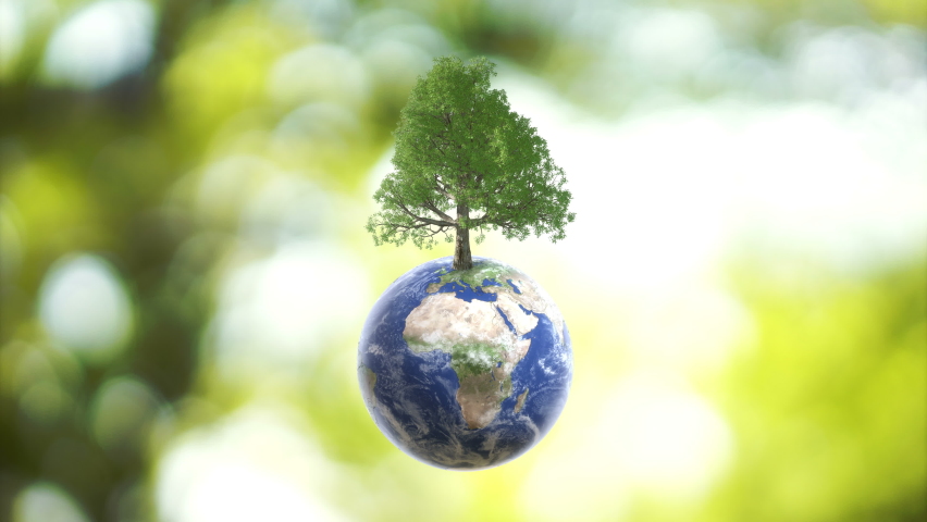 Butterfly on Planet Earth globe ball and growing tree  on green sunny blur background. Saving environment, save clean planet, ecosystem concept. 3D Rendering. | Shutterstock HD Video #1071495346