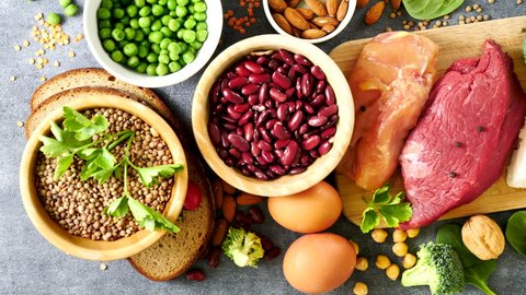 balanced food- food high in protein sources