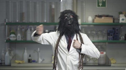 Funny Scientist with a Gorilla mask doing hilarious things in the chemistry lab. Crazy Monkey in the laboratory