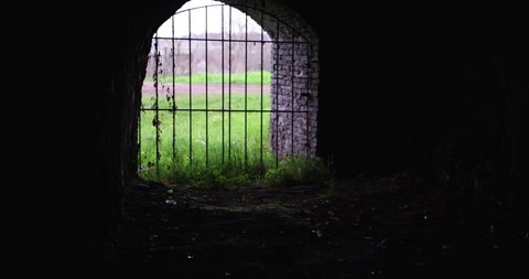 abandoned dark grotto with closed, overgrown lattice