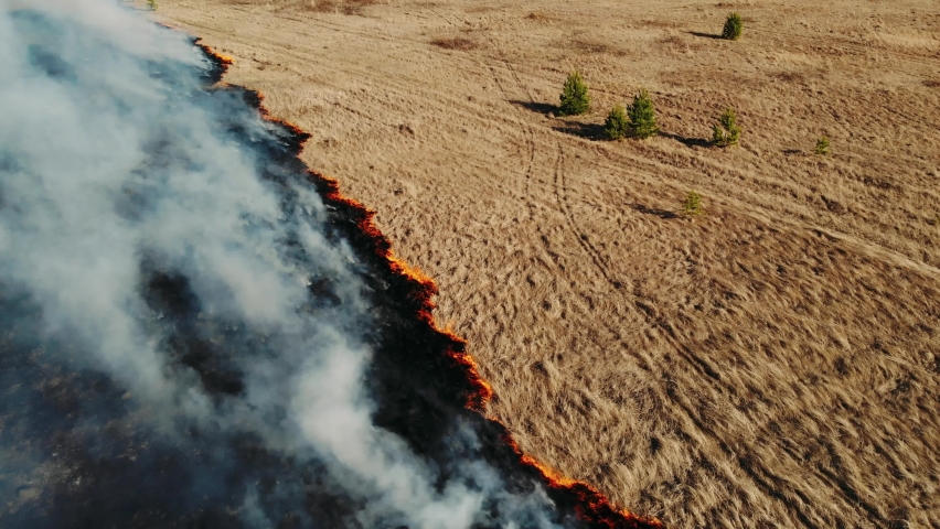 Epic aerial footage of smoking wild fire. Forest and field in the fire. Amazon and siberian wildfires. Dry grass burning. Concept: Climate change, ecology, earth Royalty-Free Stock Footage #1071503683