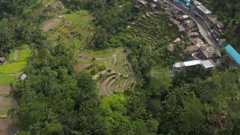 Close up aerial overhead view of a terraced irrigated rice field farms on the side of the mountain next to rural villages on the island of Bali
