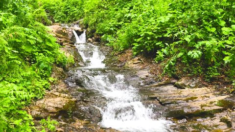 Picturesque waterfall, Small Waterfall in deep forest
