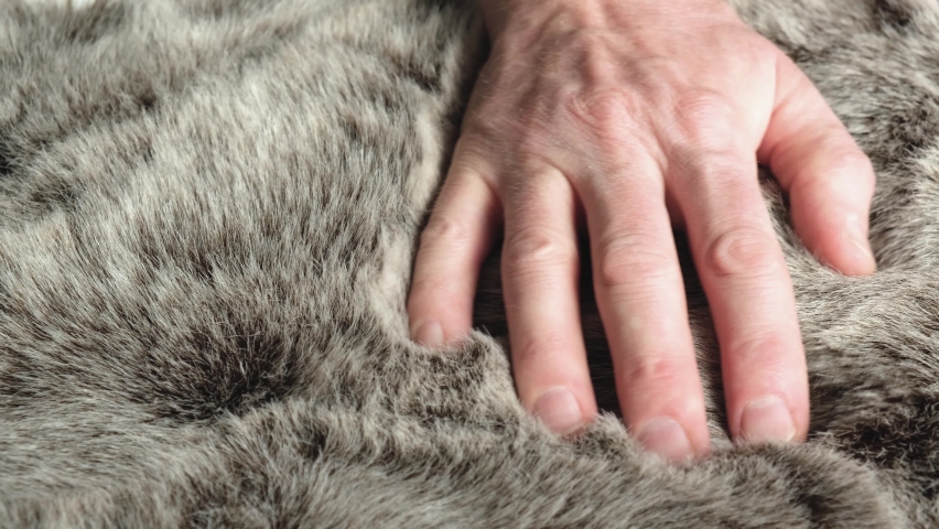 The designer checks the quality of the faux fur, touches and strokes it. Artificial fur is a textile material that imitates natural animal fur. The concept of fashion and animal welfare. | Shutterstock HD Video #1071551563