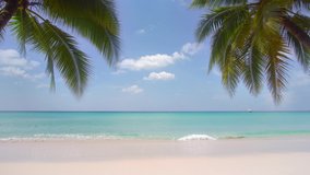 Professional Video 4K. Phuket Thailand Summer beach sea. Palm tree on the beach. Summer beach sea blue sky background. Nature and travel concept.