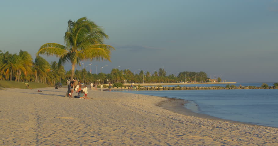 MIAMI, NOVEMBER 2014: Group of people standing next to a palm tree at Miami Beach, Florida, USA
