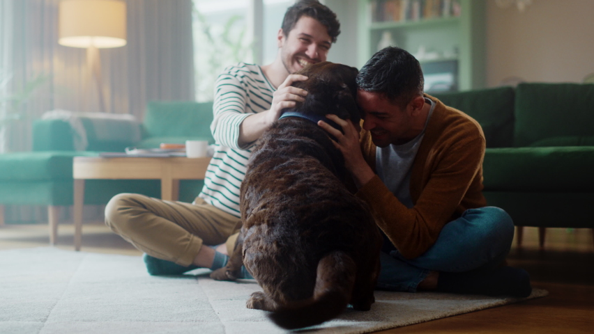 At Stylish Home Apartment: Happy Gay Couple Play with Their Dog, Gorgeous Brown Labrador Retriever. Boyfriends Tease, Pet and Scratch Super Happy Doggy, Have Fun in the Living Room Flat.