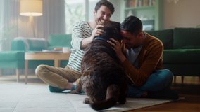 At Stylish Home Apartment: Happy Gay Couple Play with Their Dog, Gorgeous Brown Labrador Retriever. Boyfriends Tease, Pet and Scratch Super Happy Doggy, Have Fun in the Living Room Flat. - Powered by Shutterstock - Get 15% off with code: PIKWIZARD15