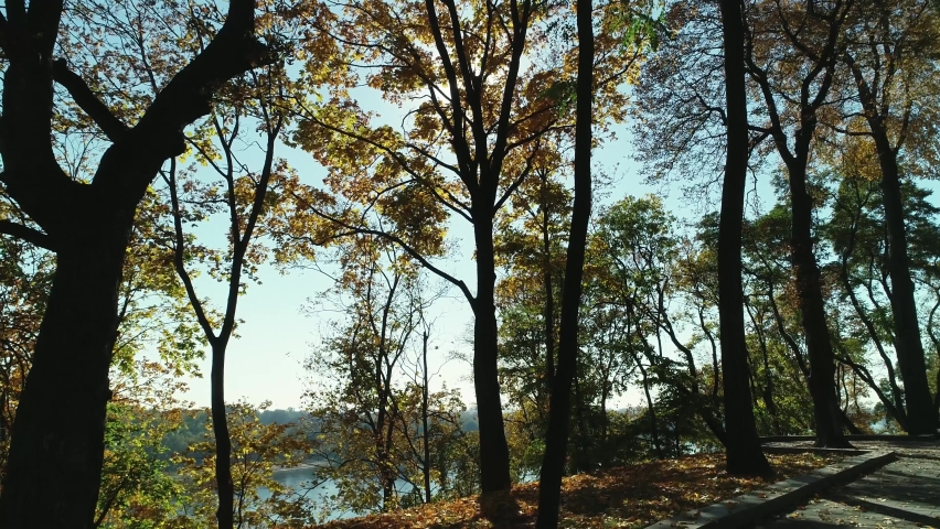 Aerial view along the sunny autumn park walley on the bank of the river