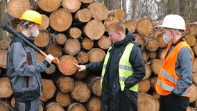 The worker says the work plan for lumberjacks at timber processing. Choosing the right logs. Communication of the team of workers. Stacked logs. - Powered by Shutterstock - Get 15% off with code: PIKWIZARD15