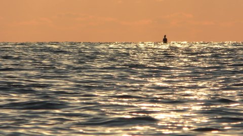 Sea, girl on SUP in the rays of the setting sun
