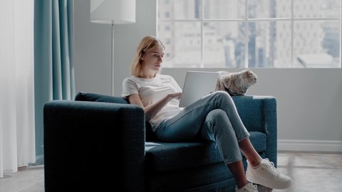 Tranquil young woman freelancer uses tablet near adorable purebred cat sitting on blue couch in light living room slow motion