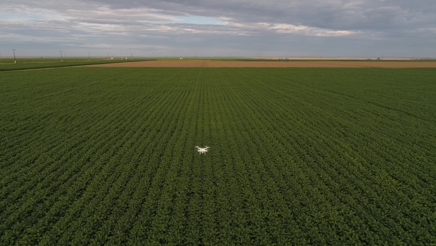 Agribusiness - Aerial image of Technology in the field, 4g, 5g, communication tower, drone flying over crops - Agriculture Royalty-Free Stock Footage #1071577978