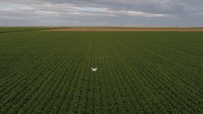 Agribusiness - Aerial image of Technology in the field, 4g, 5g, communication tower, drone flying over crops - Agriculture - Powered by Shutterstock - Get 15% off with code: PIKWIZARD15
