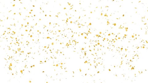 Gold Confetti Pack on a White Background with Luma Matte 