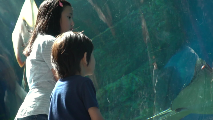 Asian children watching the marine life in aquarium