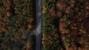 A beautiful autumn scenery in the ditch area of Turkey Adapazari province. Top view of the forest and leaves. Video were shot from the air with a Drone. High quality 4k footage