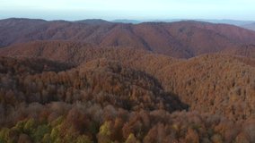 Beautiful autumn landscape video with drone