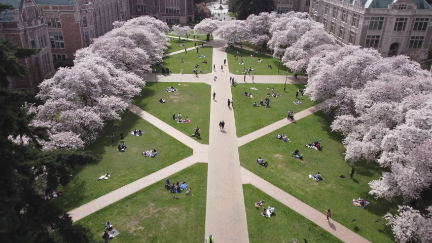 University of Washington in Seattle. Campus and school concept Royalty-Free Stock Footage #1071612580