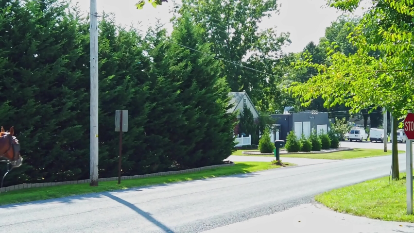 An Amish Horse and Buggy Trotting on a Country Road on a Sunny Day in Slow Motion