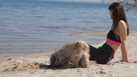 Young woman with long loose hair in top admires endless blue sea on beach and Shih tzu dog digging sand slow motion