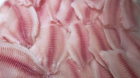 Fillets of fresh tilapia fish lie on the ice counter in the store under a cooling spray...