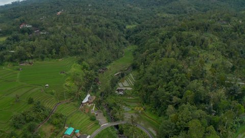 Aerial view of rice fields in a valley surrounded by tropical rainforest in Bali. Asian rural countryside with traditional terraced farm fields