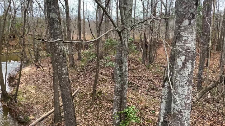 pan of a flowing river stream in the fall in the forest in rural Georgia