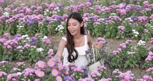 Young Asian women tourists in white dress relaxing in the flowers farm at Chiang rai Thailand footage slow motion 4K video 