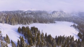 Steep mountain slopes covered with lush evergreen trees and snow-white fluffy snow with a long and old elevator slope for skiers and snowboarders, aerial UHD 4K video
