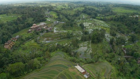 Wide aerial view of the water on a rice plantations in rural Bali countryside. Cars on a rural road through farm fields in Asia