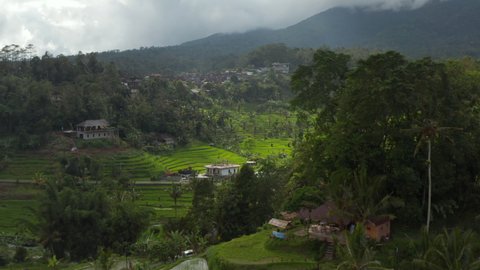 Reveal of stunning green rice fields on the hills in Bali. Aerial dolly view of rural countryside houses and farm plantations at the foot of a mountain in Asia