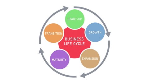 Business Life Cycle Animation on White Background and Green Screen