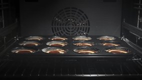 4K Time Lapse of baking process of chocolate muffins in oven, home made. Time-lapse video of sweet cupcakes with cocoa baked in oven.