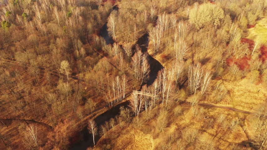 Flying over autumn park. Trees without leaves, river, bridges. Aerial view. Late in fall. Beautiful bend of iver. Forest. Park. Shadows from trees on yellow ground.