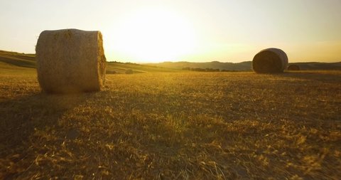 Bale of hay during sunset. Aerial view of countryside in a summer sunset in Tuscany. 
