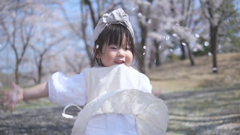 Happy Asian little toddler girl is playing with the pink cherry blossom petals in her hands flying in the air. Slow motion. Sakura flowers in forest park. Beautiful spring season in Japan