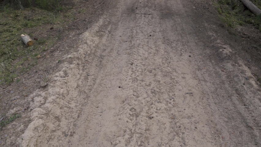 Forest dirt road with slight slope in tilting up shot