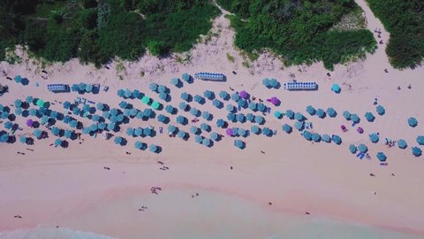 Bermuda drone shot of Horseshoe Bay running parallel along the white sand beach with tourists and umbrellas