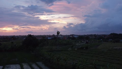 Aerial dolly shot of a bat flying above a small village and terraced farm plantations in a tropical climate of Bali at night