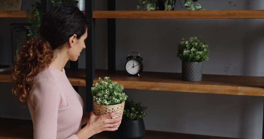 Housewife put on shelves artificial flower pots, glass candlestick enjoy process of cosiness creation, get living room in order. Decorator decorating interior of home. Modern items for flat ad concept | Shutterstock HD Video #1071802678