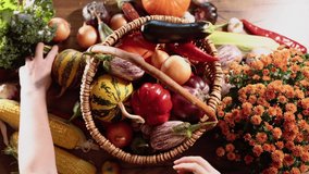 Woman hand puts corn, pepper, pumpkin, eggplants, tomato, onion, garlic in a wicker basket. Organic colored harvested vegetables, farming or gardening concept. 4k video footage - Powered by Shutterstock - Get 15% off with code: PIKWIZARD15