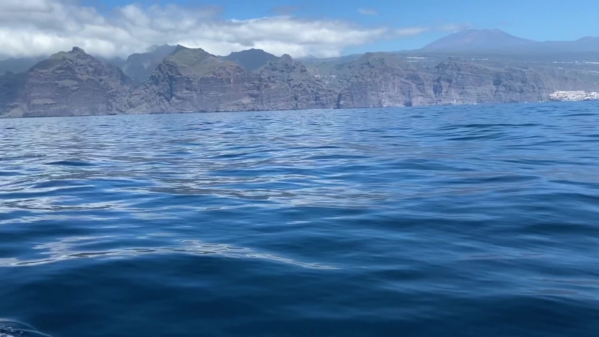 Two bottlenose dolphins jumping out of the water at Tenerife Canary islands Spain, Pan right slow motion follow shot