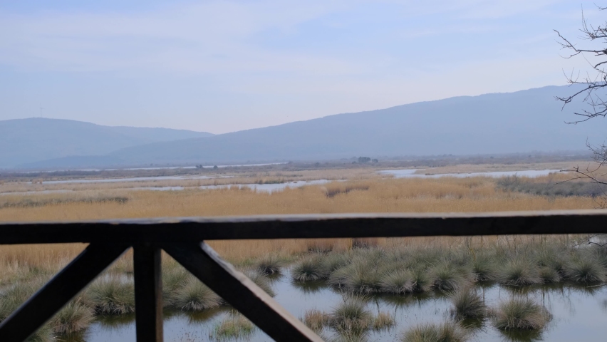 A single man on the bird watching tower and playing with his mobile phone in front of the camera and background of karacabey floodplain (longoz ormani) forest and mountain marsh nature panorama