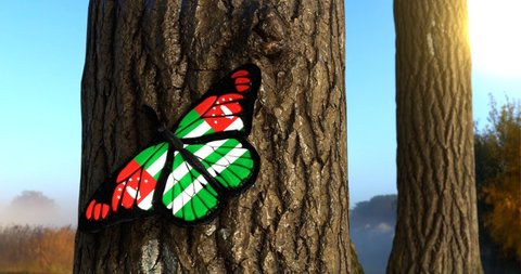 Flag of Abkhazia on Butterfly Wings Realistic 4K UHD 60FPS