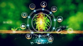 Botany Icon Concept Green environment with Center and spoke Concept ,Plant on center and rotating Icons - Powered by Shutterstock - Get 15% off with code: PIKWIZARD15