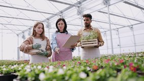 Group of people working in garden centre. - Powered by Shutterstock - Get 15% off with code: PIKWIZARD15